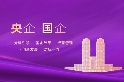 央企国企经营管理