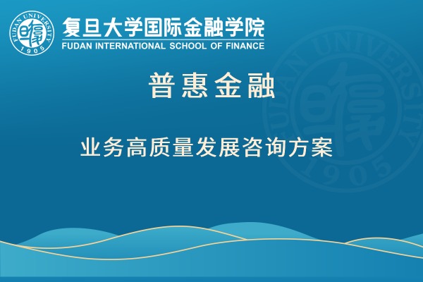 普惠金融业务高质量发展咨询方案