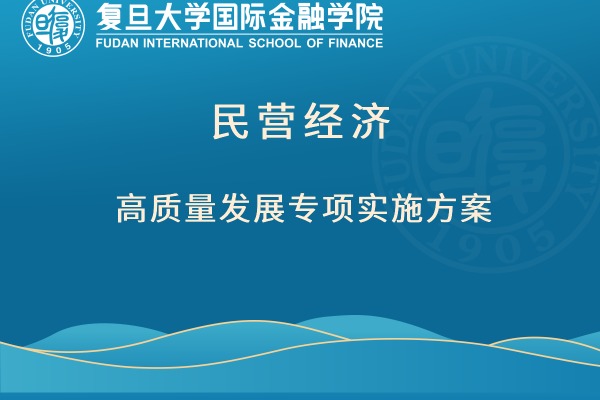 民营经济高质量发展专项实施方案