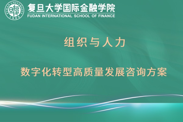 组织与人力数字化转型高质量发展咨询方案