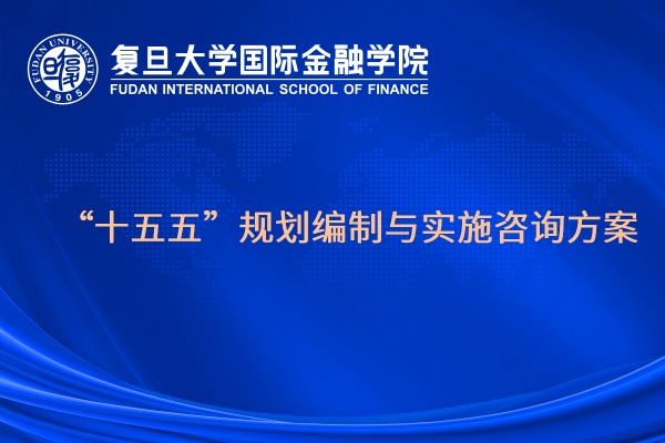 “十五五” 规划编制与实施咨询方案