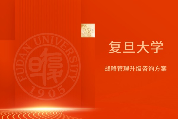 战略管理升级咨询方案