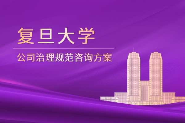 公司治理规范咨询方案