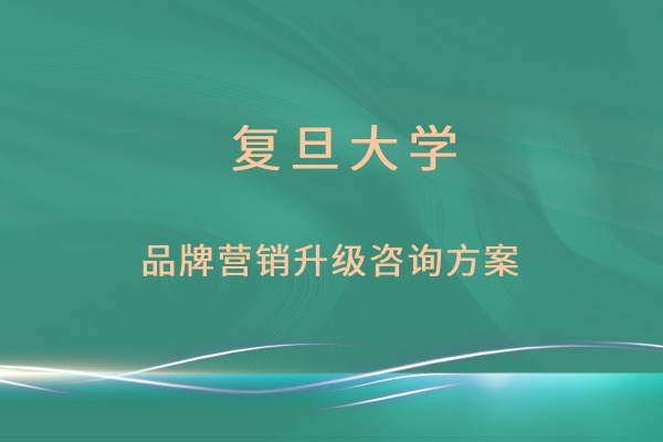 品牌营销升级咨询方案