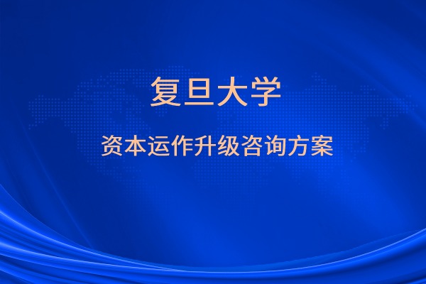 资本运作升级咨询方案