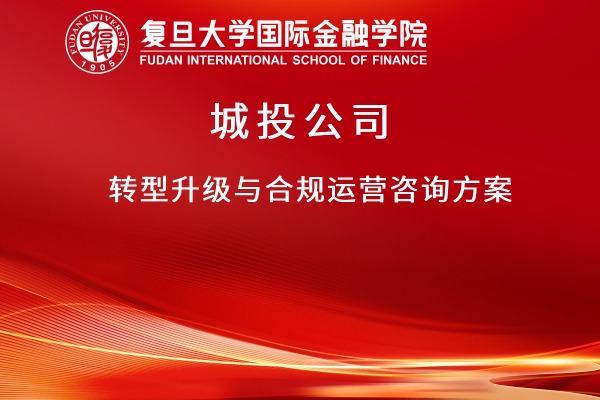 城投公司转型升级与合规运营咨询方案
