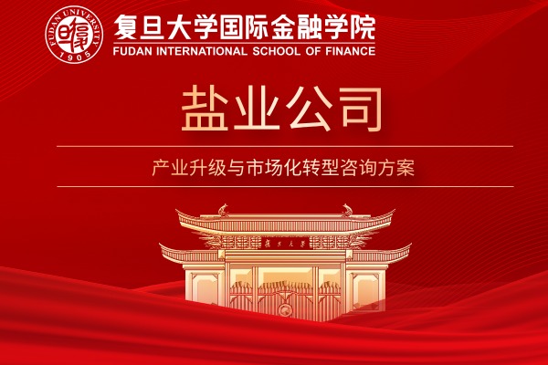 盐业公司产业升级与市场化转型咨询方案
