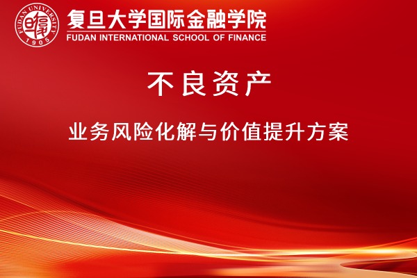 不良资产业务风险化解与价值提升方案