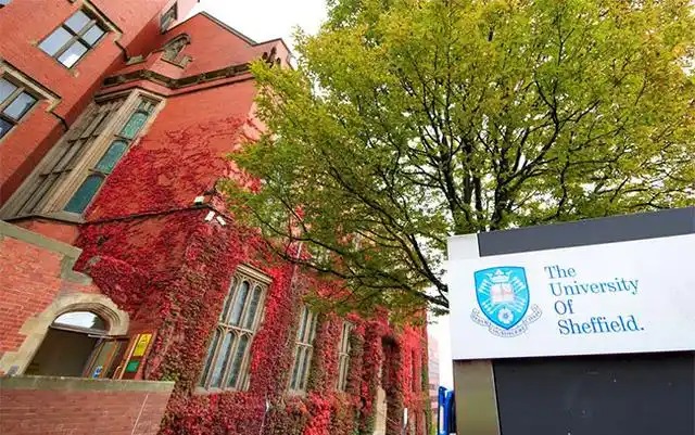 英国谢菲尔德大学