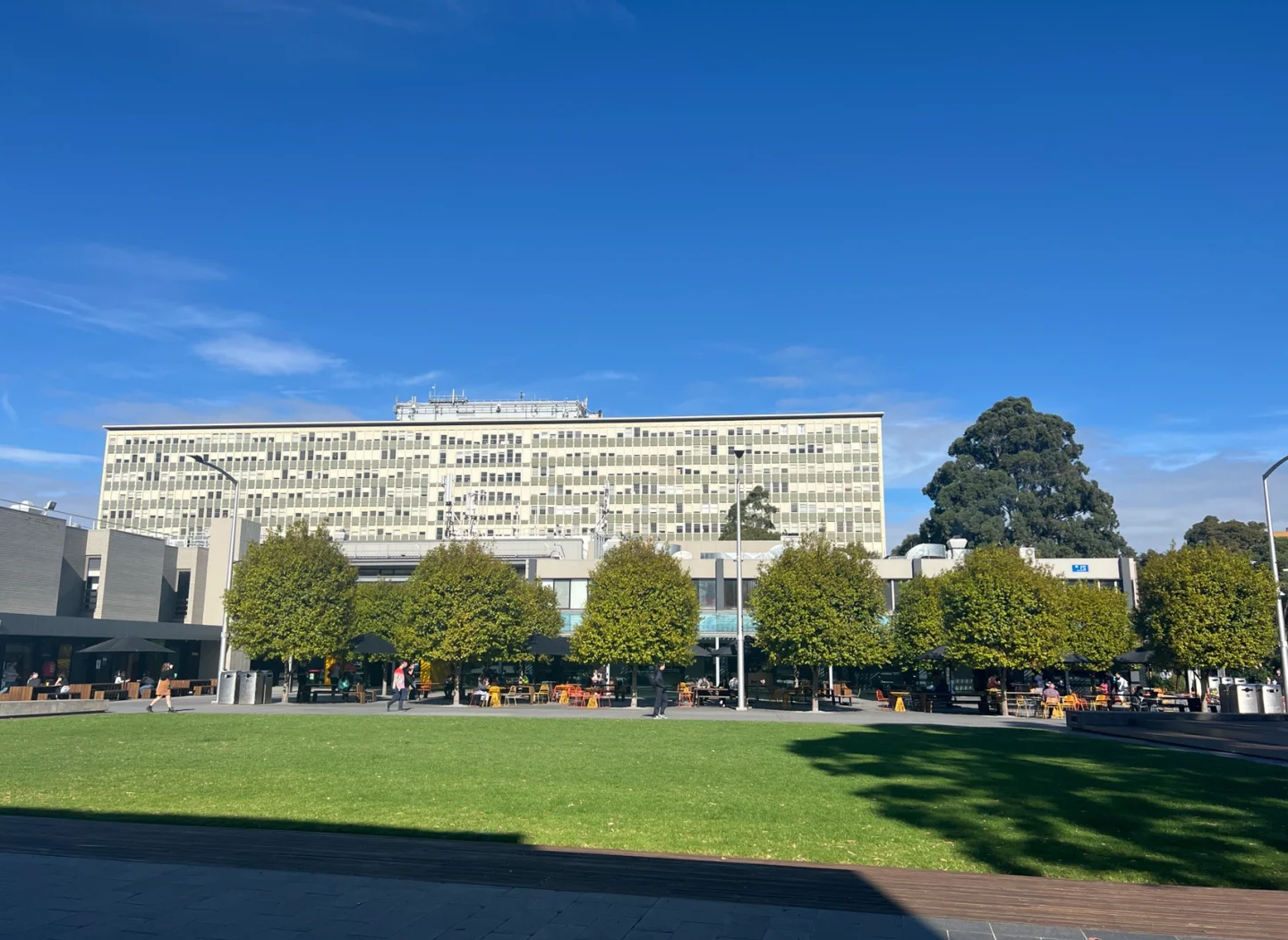 莫纳什大学