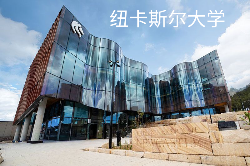纽卡斯尔大学
