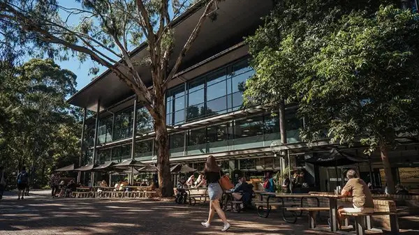 伍伦贡大学