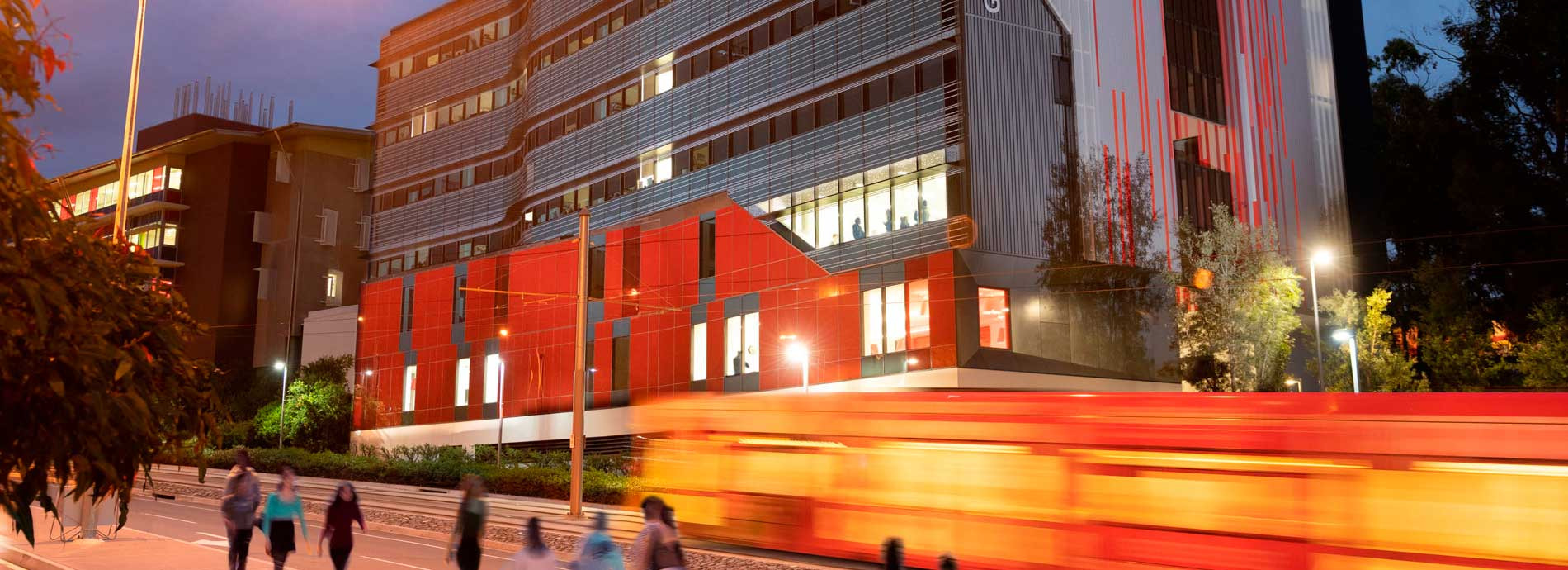 格里菲斯大学