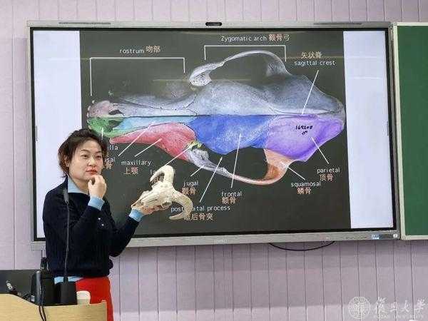 动物考古课：从骨骼中读懂古人的生活，看见人与动物的千年变迁