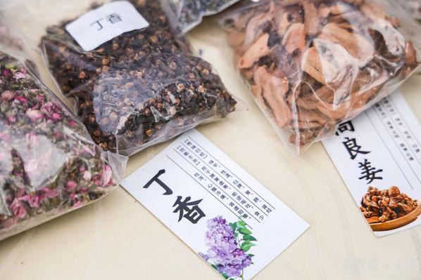 源起复旦，承古焕新！第九届书院传统文化月暨2026年书院校史雅集举行