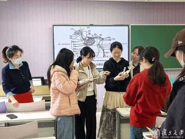 动物考古课：从骨骼中读懂古人的生活，看见人与动物的千年变迁