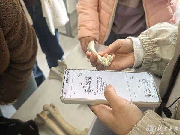 动物考古课：从骨骼中读懂古人的生活，看见人与动物的千年变迁