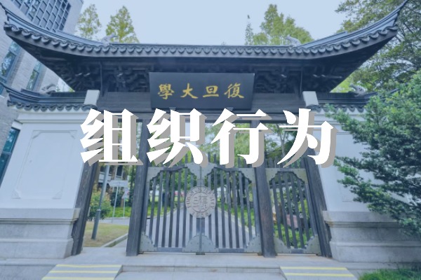 组织行为