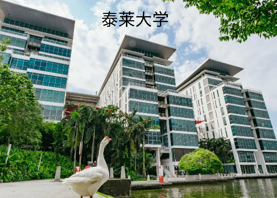 泰莱大学