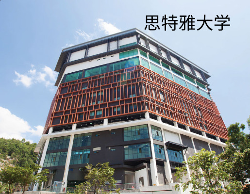思特雅大学