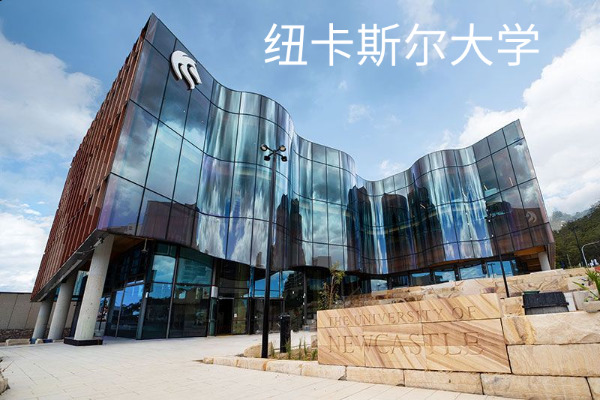 纽卡斯尔大学