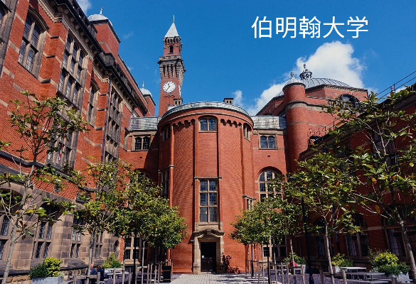 伯明翰大学