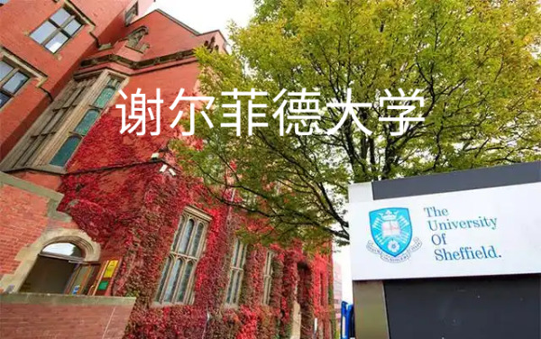 谢尔菲德大学