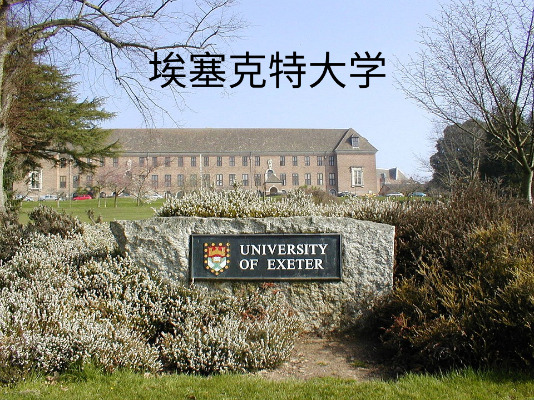 埃克塞特大学