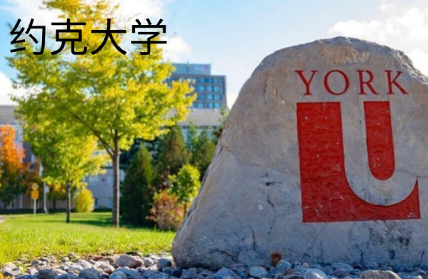 约克大学