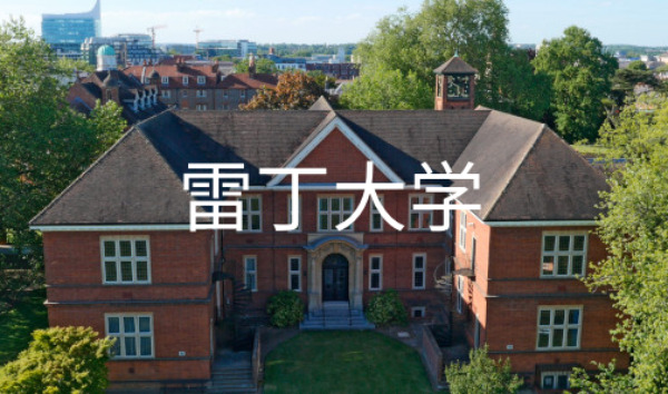 雷丁大学