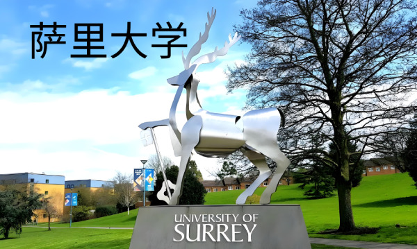萨里大学