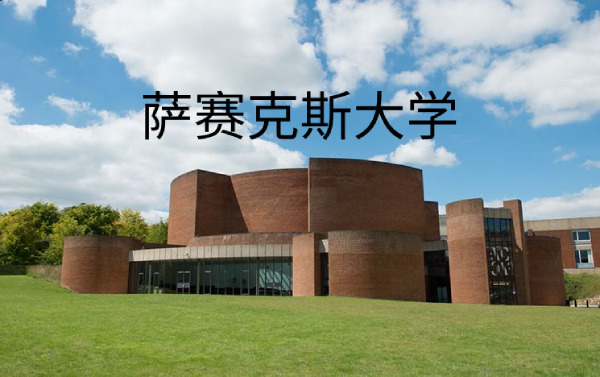 萨赛克斯大学
