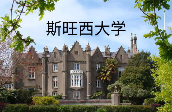 斯旺西大学