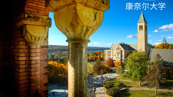 康奈尔大学