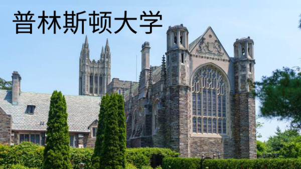 普林斯顿大学
