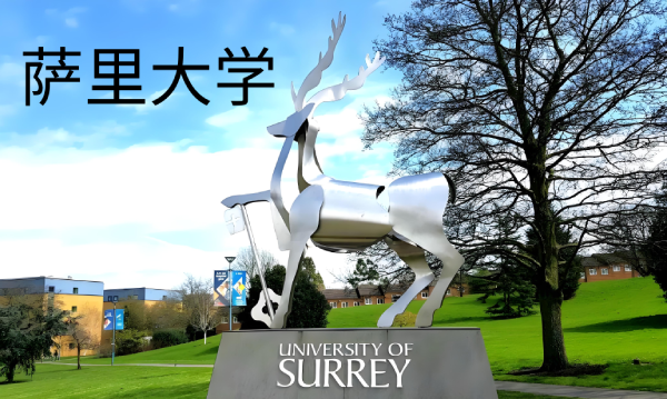 萨里大学,萨里大学,第1张