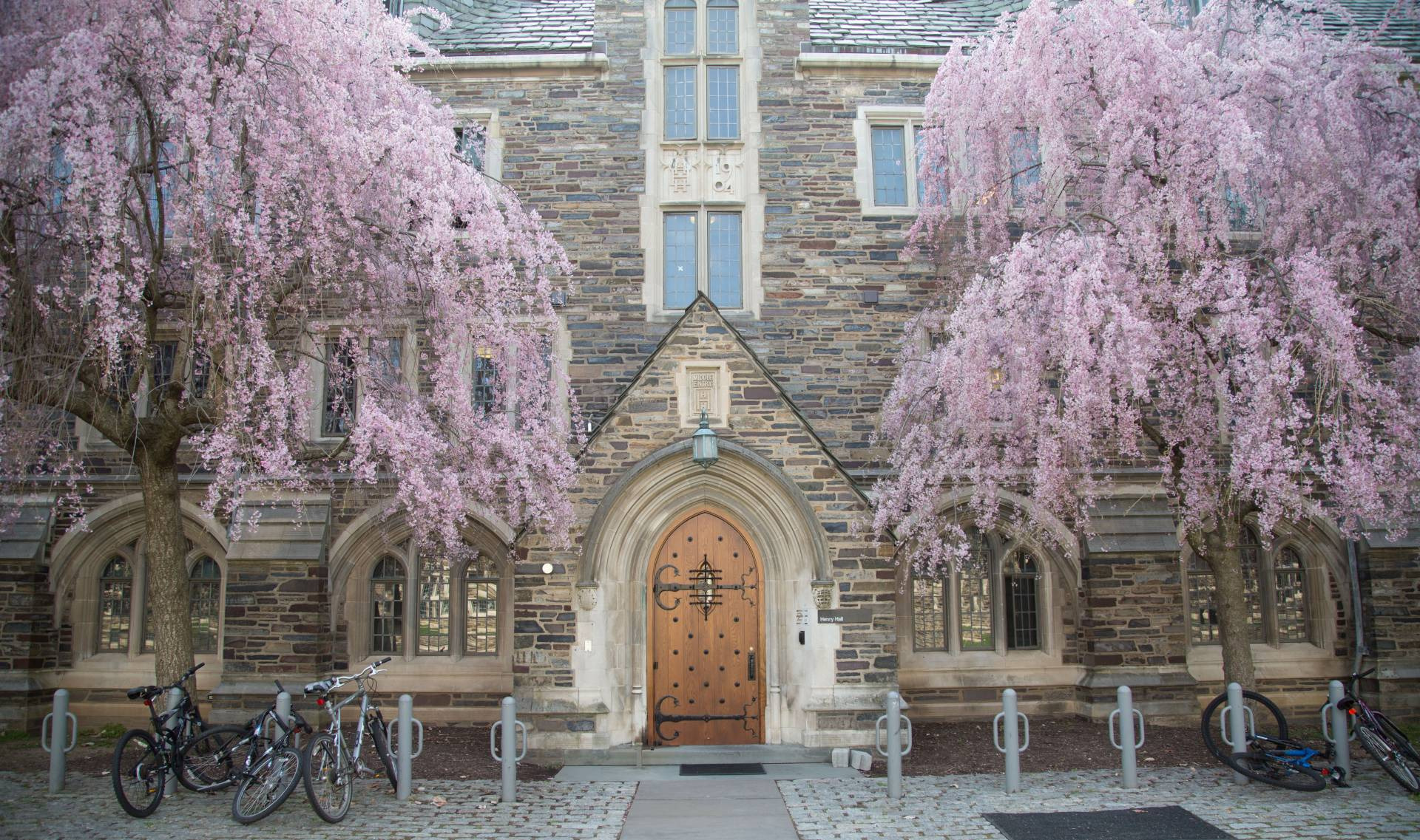 普林斯顿大学,普林斯顿大学,第4张
