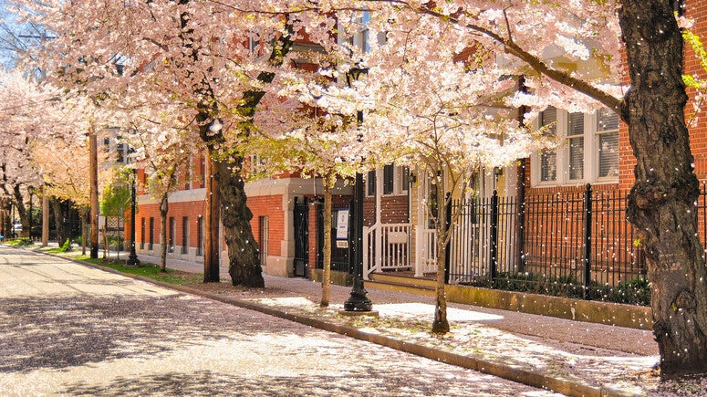 耶鲁大学,耶鲁大学,第4张